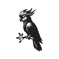 Cockatoo Minimal Vector - Cockatoo Silhouette - Illustration of Cockatoo - Black and White Cockatoo Art.