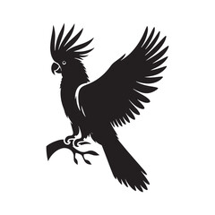 Cockatoo Minimal Vector - Cockatoo Silhouette - Illustration of Cockatoo - Black and White Cockatoo Art.