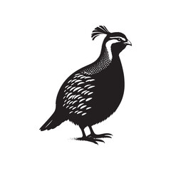 chukar Silhouette - Minimal Chukar bird vector - Chukar Bird Illustration - Chukar Bird art.