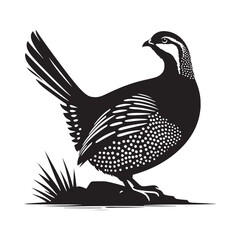 chukar Silhouette - Minimal Chukar bird vector - Chukar Bird Illustration - Chukar Bird art.