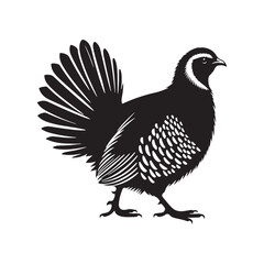 chukar Silhouette - Minimal Chukar bird vector - Chukar Bird Illustration - Chukar Bird art.