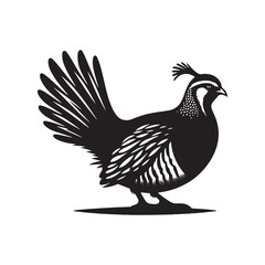 Obraz premium chukar Silhouette - Minimal Chukar bird vector - Chukar Bird Illustration - Chukar Bird art.