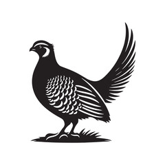 chukar Silhouette - Minimal Chukar bird vector - Chukar Bird Illustration - Chukar Bird art.