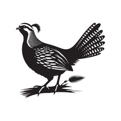 chukar Silhouette - Minimal Chukar bird vector - Chukar Bird Illustration - Chukar Bird art.