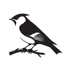 Cedar waxwing minimal Vector - Cedar waxwing Illustration - Silhouette of Cedar waxwing - Black and White Cedar waxwing art.