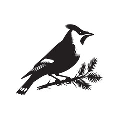 Cedar waxwing minimal Vector - Cedar waxwing Illustration - Silhouette of Cedar waxwing - Black and White Cedar waxwing art.