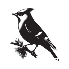 Cedar waxwing minimal Vector - Cedar waxwing Illustration - Silhouette of Cedar waxwing - Black and White Cedar waxwing art.