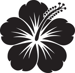 black and white flower isolated