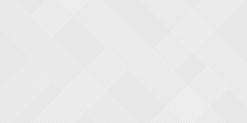 Gray minimal colour abstract background with white visable geometric lines and dynamic shapes composition design background vector illustration eps10. Perfect for modern projects basktop wallpaper.