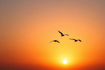 Obraz premium birds on sunset