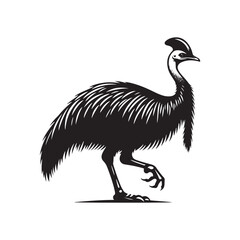 Cassowary Silhouette - Minimalist Cassowary Vector - Black and White Cassowary art - Illustration of Cassowary.