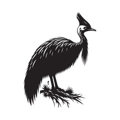 Cassowary Silhouette - Minimalist Cassowary Vector - Black and White Cassowary art - Illustration of Cassowary.