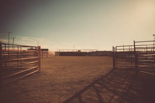 minimalistic rodeo scene with arena and enclosure showcasing simplicity and plenty of copy space