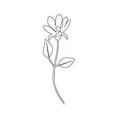 Romantic Flower in one line art outline drawing on white background minimal vector stroke