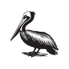 Minimal Brown pelican Vector - Brown pelican Silhouette - Black and White Brown pelican bird art - Brown pelican Illustration.