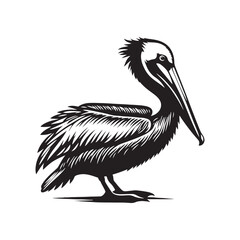 Minimal Brown pelican Vector - Brown pelican Silhouette - Black and White Brown pelican bird art - Brown pelican Illustration.