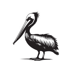 Minimal Brown pelican Vector - Brown pelican Silhouette - Black and White Brown pelican bird art - Brown pelican Illustration.