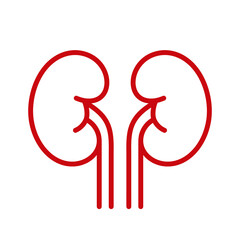 Kidney icon. Paired human organ. Pictogram for doctor or hospital, treatment or prevention. Health symbol.