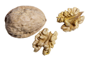 two walnut kernels nestled beside its shell, revealing their wrinkled, brain-like texture. The exposed inner surface of the shell contrasts with the rich, golden-brown nut