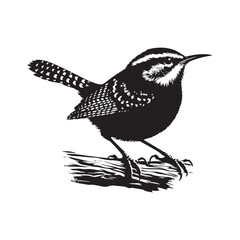 Carolina wren Vector Silhouette - Carolina wren Minimal ART - Illustration of Carolina wren.