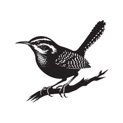Carolina wren Vector Silhouette - Carolina wren Minimal ART - Illustration of Carolina wren.