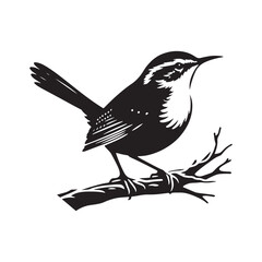 Carolina wren Vector Silhouette - Carolina wren Minimal ART - Illustration of Carolina wren.