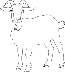 Simple Line Art Goat Drawing – Minimalist Farm Animal Illustration