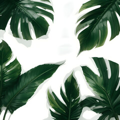 palm tree leaves