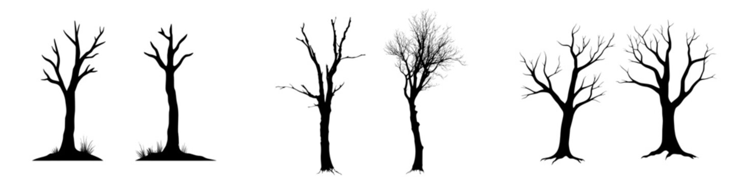 A collection of contemporary spooky trees, featuring hand-drawn, bare, and dead trees with a creepy atmosphere, presented as dark silhouettes on a white background, ideal for Halloween-themed