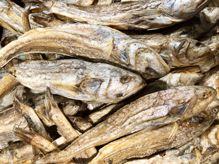 Dried croaker or poa fish are displaying