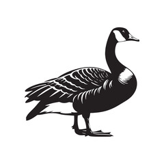 Canada Goose Silhouette - Minimalist Canada Goose Vector - Illustration of Canada Goode Bird - Black and White Canada Goose Art.