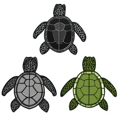 turtle, reptile, vector, transparent background, various