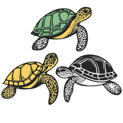turtle, reptile, vector, transparent background, various