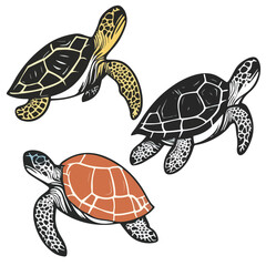 Fototapeta premium turtle, reptile, vector, transparent background, various