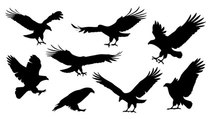set of eagle silhouette vector on white background