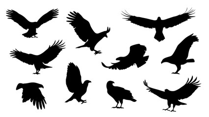 set of eagle silhouette vector on white background