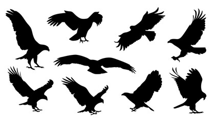 set of eagle silhouette vector on white background