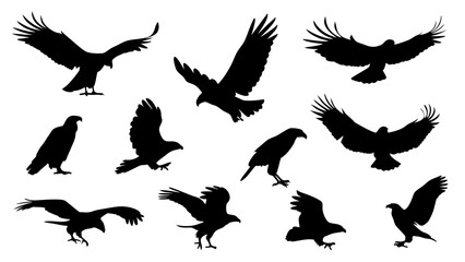 set of eagle silhouette vector on white background