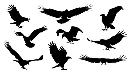set of eagle silhouette vector on white background