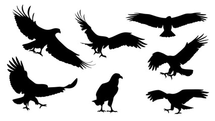 set of eagle silhouette vector on white background