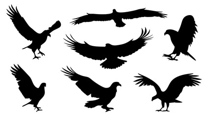 set of eagle silhouette vector on white background