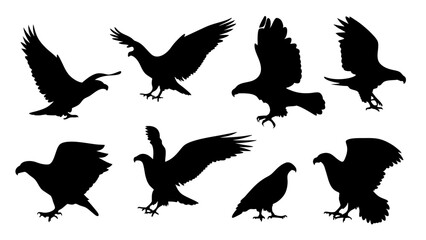 set of eagle silhouette vector on white background