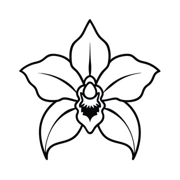 recommend clip art: Elegant orchid flower outline illustration for botanical designs and coloring books projects