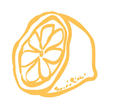 Lemon slice or half line icon vector illustration. Hand drawn outline citrus with peel in yellow color. Amalfi or Sicily emblem of ripe lemon drawing in ink doodle style. Isolated design element.