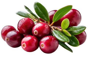 Pile of fresh cranberries with leaves on transparent background