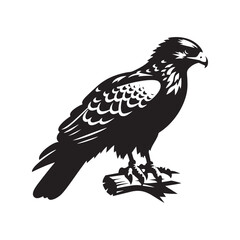 Minimal Buzzard Vector Silhouette - Buzzard Bird Illustration - Buzzard Art - Black and White Buzzard Design.