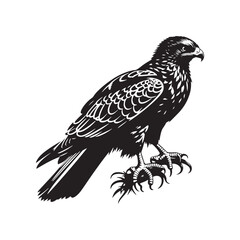 Minimal Buzzard Vector Silhouette - Buzzard Bird Illustration - Buzzard Art - Black and White Buzzard Design.