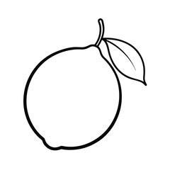 Lemon outline illustration vector design fresh citrus fruit line drawing minimalist style with leaf