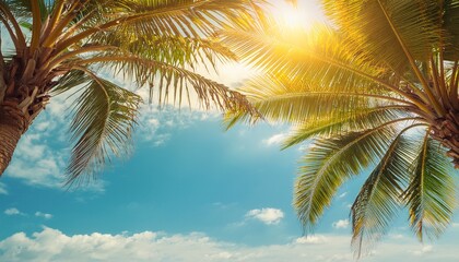 copy space of tropical palm tree with sun light on sky background