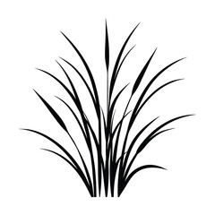 Silhouette illustration of aquatic grass growing dense and tall in black and white